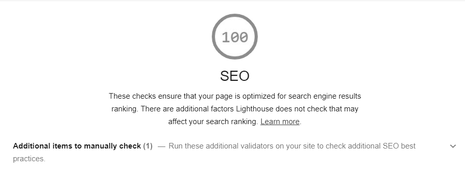 Screenshot von Lighthouse SEO mit 100%iger Erfolgsquote